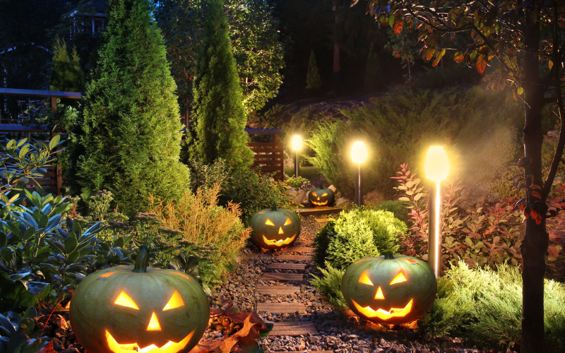 Garden Solar Lights